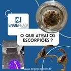 Post Engeprag — Escorpião